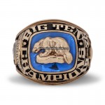 1976 Michigan Wolverines Big Ten Championship Ring/Pendant(Premium)